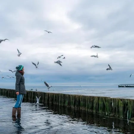 Strandvilla Whg 3 شقة