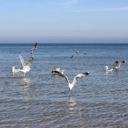 شقة Strandvilla Whg 3 بولتينهاجين